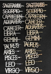 Bling Zodiac Sign Hair Pins